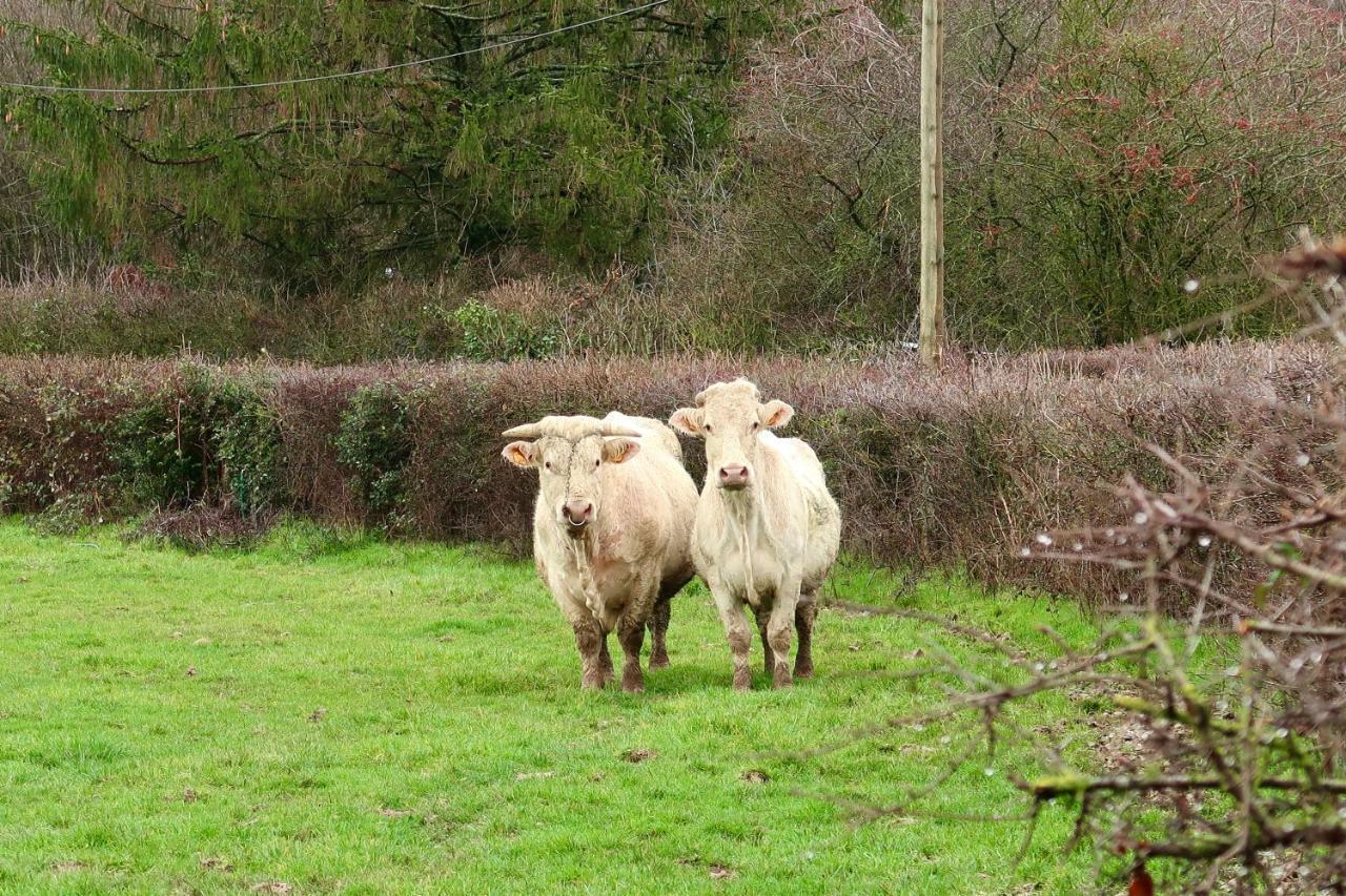 Gite Aux Petits Bonheurs 4 Pers In The Countryside Perrigny-sur-Loire Buitenkant foto